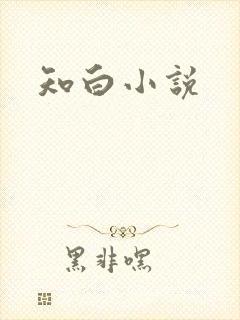 知白小说