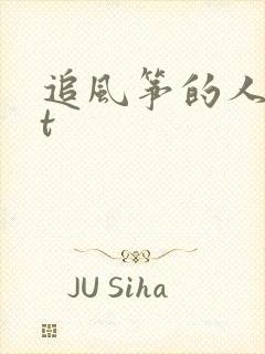 追风筝的人txt