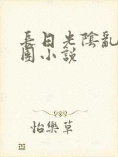 长日光阴乱作一团小说