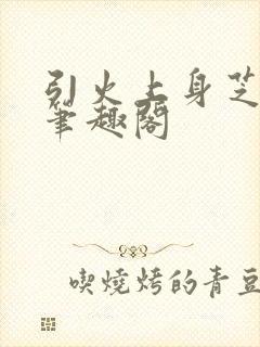 引火上身芝麻糖笔趣阁