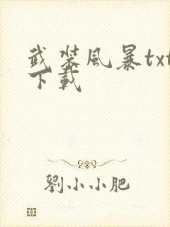 武装风暴txt下载