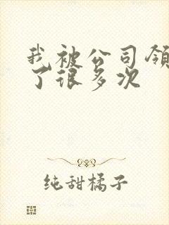 我被公司领导C了很多次