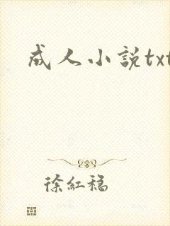 成人小说txt