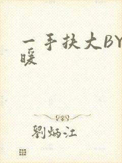 一手扶大BY泱暖