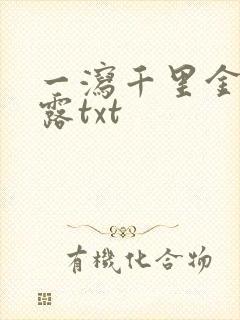 一泻千里金银花露txt