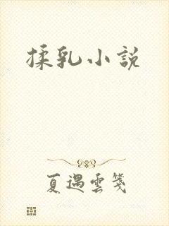 揉乳小说