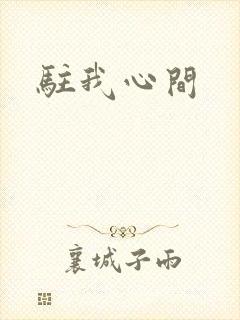 驻我心间