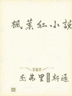 枫叶红小说