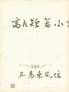 高h短篇小说