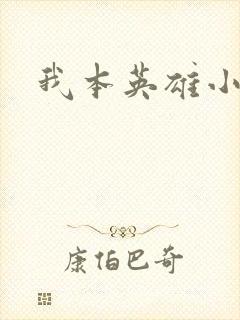我本英雄小说