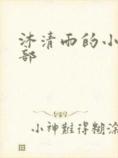 沐清雨的小说全部