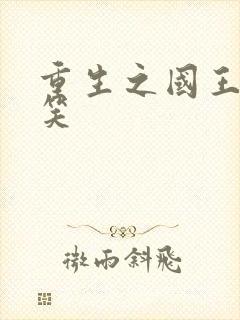 重生之国王的微笑