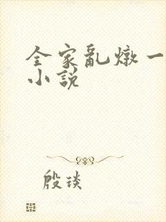 全家乱炖一锅烩小说