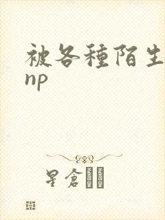 被各种陌生人 np