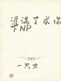 灌满了求你们停下NP