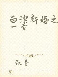 白洁新婚之夜第一章