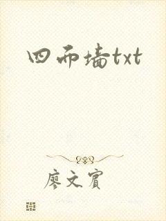 四面墙txt