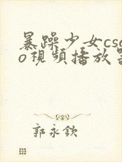 暴躁少女csgo视频播放器推荐