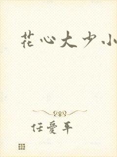 花心大少小说
