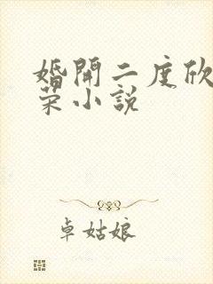婚开二度欣欣向荣小说