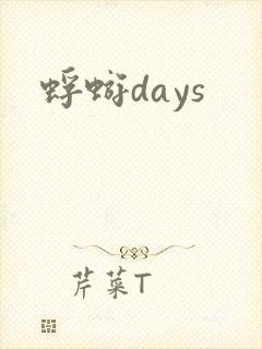 蜉蝣days