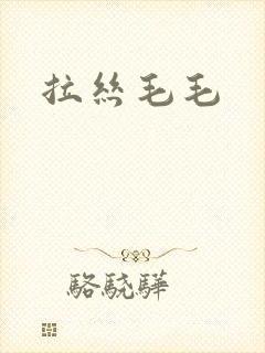 拉丝毛毛