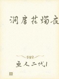 洞房花烛夜小说