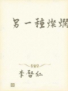 另一种灿烂生活