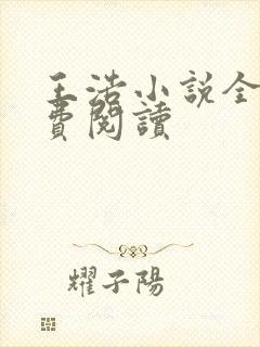 王浩小说全文免费阅读