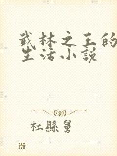 武林之王的退隐生活小说