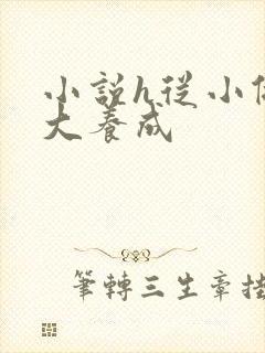 小说h从小做到大养成