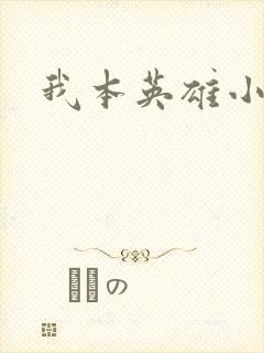 我本英雄小说