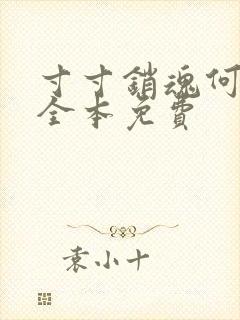 寸寸销魂何生祥全本免费