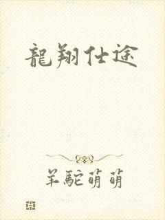 龙翔仕途