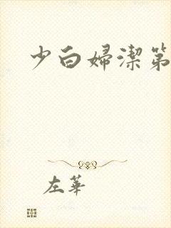 少白妇洁第二部