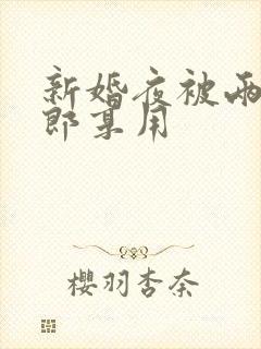 新婚夜被两个伴郎享用