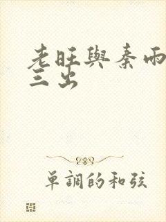 老旺与秦雨三进三出