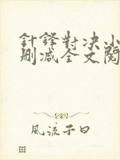 针锋对决小说未删减全文阅读