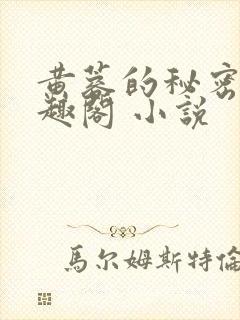 黄蓉的秘密 笔趣阁 小说