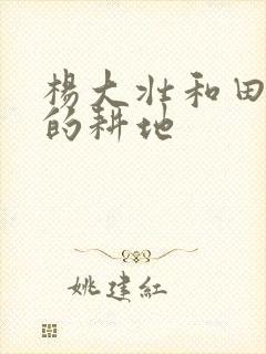 杨大壮和田桂花的耕地