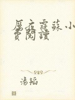 厉夜霆苏小汐免费阅读