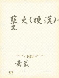 孽火(硬汉)今又