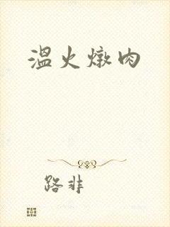 温火炖肉