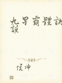九星霸体诀 小说