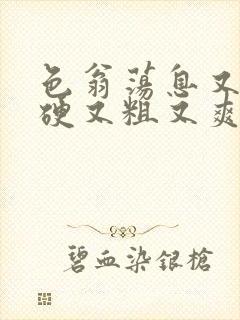 色翁荡息又大又硬又粗又爽小莹