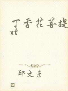 丁香花菩提树txt