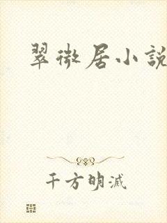 翠微居小说