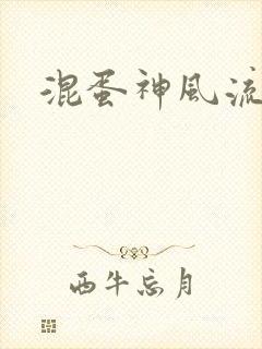 混蛋神风流史补