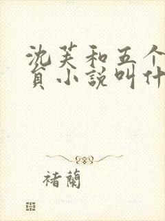 沈芙和五个消防员小说叫什么