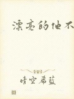 漂亮的他不说话